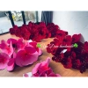 Đầu bông hoa đào nhung ánh kim 2 lớp cánh hottrend - Trang trí Tết siêu xinh, giá chỉ 160.000đ 2