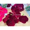 Đầu bông hoa đào nhung ánh kim 2 lớp cánh hottrend - Trang trí Tết siêu xinh, giá chỉ 160.000đ 4