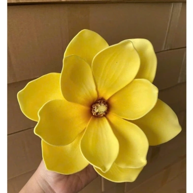 Đầu Bông Hoa Mộc Lan Xốp Cao Cấp Trang Trí Tài Lộc Giỏ Quà Handmade Phụ Kiện Tháp Bánh Tết 2.026 Giá 10,000 VND 9 Đầu Bông Hoa Mộc Lan Xốp Cao Cấp Trang Trí Tài Lộc Giỏ Quà Handmade Phụ Kiện Tháp Bánh Tết 2.026 Giá 10,000 VND 9