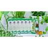 Dầu Lăn Thảo Dược Thái Lan 22/16 Nội Địa Giảm Đau Nhức, Chống Say Xe, 43.000₫ 4