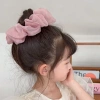 Dây Buộc Tóc Vải Lông Mềm Mại Cỡ Lớn Ngọt Ngào Nữ Scrunchies E2.000 Giá 6.000₫ 6