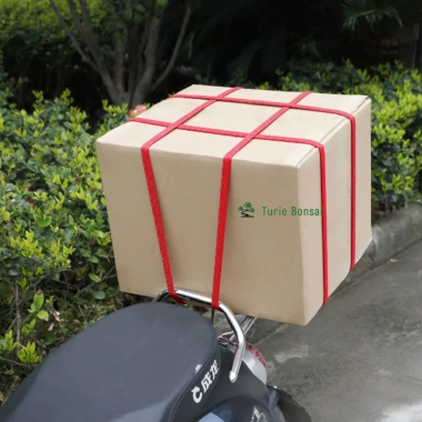 Dây chằng hàng co giãn bản to có móc điều chỉnh - Giá ưu đãi 49.000đ 6