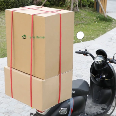 Dây chằng hàng co giãn bản to có móc điều chỉnh - Giá ưu đãi 49.000đ 7