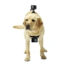 Dây đai đeo ngực chó size lớn - Camera hành trình kép GoPro, giảm còn 105k 3
