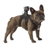 Dây đai đeo ngực chó size lớn - Camera hành trình kép GoPro, giảm còn 105k 6