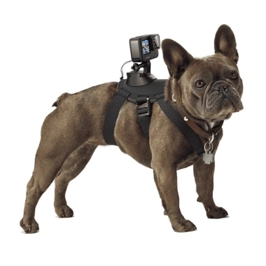 Dây đai đeo ngực chó size lớn - Camera hành trình kép GoPro, giảm còn 105k