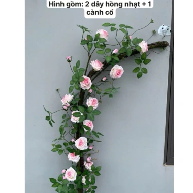Dây Hoa Hồng Giả Pháp Cổ Leo 1.7m 7 Hoa 8 Nụ Thân Rêu Giống Thật Cao Cấp Giá 105k 2