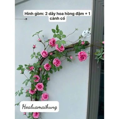 Dây Hoa Hồng Giả Pháp Cổ Leo 1.7m 7 Hoa 8 Nụ Thân Rêu Giống Thật Cao Cấp Giá 105k 5