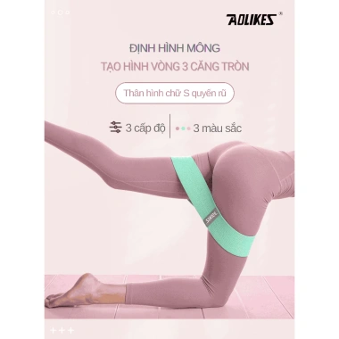 Dây kháng lực AOLIKES miniband vải đàn hồi tập chân, mông, đùi gym nam nữ, đai trợ lực cao cấp