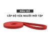 Dây Kháng Lực JYoohome - Dây Kéo Đàn Hồi Tập Tại Nhà, Tăng Cơ Giảm Mỡ, 26.000₫ 9