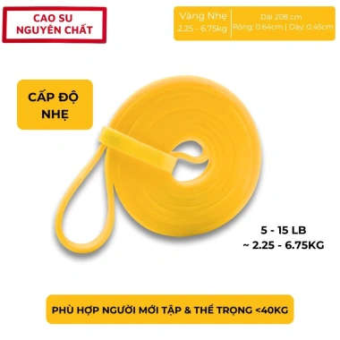 Dây kháng lực Power Band Topbody đa năng DKHAL - Tập thể dục tại nhà, giá 29.000₫