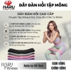 Dây Miniband Haru HR5 Kháng Lực Đàn Hồi Cao Su - Tập Mông Yoga Gym Tại Nhà 3