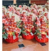 Đế trụ lưới bao bố Loại 1 trang trí mâm quả, mâm lộc - giá chỉ 44.000 VND 4