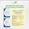 Deal Tốt Combo 1 Protein Healthy Bean Hỗ Trợ Tăng Cân, Tăng Cơ, Giảm Mỡ Giá 290.000đ 6