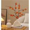 Decor Bình Hoa Tài Lộc Gốm Cành Hồng Quả May Mắn Trang Trí Nội Thất Văn Phòng Giá 120k