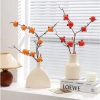 Decor Bình Hoa Tài Lộc Gốm Cành Hồng Quả May Mắn Trang Trí Nội Thất Văn Phòng Giá 120k 3