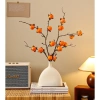 Decor Bình Hoa Tài Lộc Gốm Cành Hồng Quả May Mắn Trang Trí Nội Thất Văn Phòng Giá 120k 5