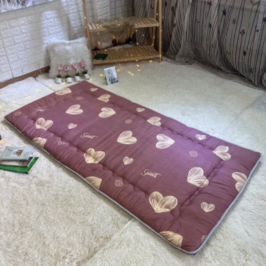 Đệm Gấp Gọn Thế Hệ Mới Nệm Ngủ Trưa Văn Phòng Du Lịch Siêu Mềm Mịn 245k 5