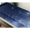 Đệm Gấp Gọn Thế Hệ Mới Nệm Ngủ Trưa Văn Phòng Du Lịch Siêu Mềm Mịn 245k 9