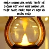 Đèn dầu LED mini cổ điển vintage - Trang trí nhà & quán cafe, chỉ 27.750đ 6