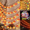 Đèn Led Cắm Điện Trang Trí Năm Mới Tết - Đèn Lồng Cá Chép Nhiều Màu, Giá 40.800 VND 2