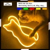 Đèn LED Neon 12V hình con mèo 35x20cm Trang trí phòng ngủ đèn ngủ quà tặng MIXJ 5