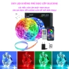 Đèn LED trang trí RGB 16 triệu màu 3M-10M, điều khiển điện thoại, giá ưu đãi 154k 7