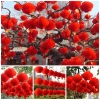 Đèn Lồng Đỏ Treo Trang Trí Lễ Tết, Trung Thu - Nylon Không Thấm Nước Giá Sỉ 10.000₫ 3