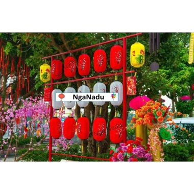 Đèn lồng Hoa Mai, Hoa Đào đủ màu hình trụ - Trang trí Tết 2.026, giá 14.000₫ 7 Đèn lồng Hoa Mai, Hoa Đào đủ màu hình trụ - Trang trí Tết 2.026, giá 14.000₫ 7