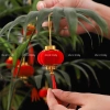 Đèn lồng nhung đỏ mini size - Trang trí Tết, treo cây quất, giảm giá 30k 6