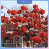 Đèn lồng Nilong chống thấm an toàn - Trang trí Tết, decor tiệc, dễ dùng, chỉ 44.000₫