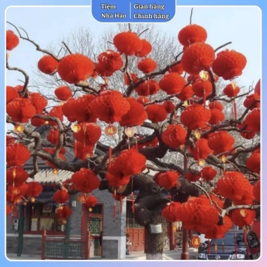 Đèn lồng Nilong chống thấm an toàn - Trang trí Tết, decor tiệc, dễ dùng, chỉ 44.000₫