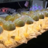 Đèn Ngủ Bàn Bông Hoa Sạc Lại, Cảm Ứng Độ Ánh Sáng - DecorHottrend Phòng Ngủ 160k 3