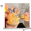 Đèn Ngủ DIY Handmade Mini Mặt Trăng Hoa Hồng – Trang Trí Phòng, Quà Tặng Ý Nghĩa Sinh Nhật Valentine 4