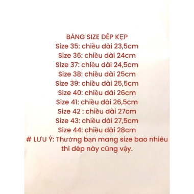 Dép chiếu kẹp nam nữ - Dép khách sạn du lịch, chỉ 45.000đ, thoải mái & bền