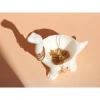 Dinosaur Ring Holder Mini Planter - chậu cây nhỏ đựng nhẫn bàn làm việc 27.5k 6