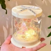 DIY Đèn Bướm Handmade - Đèn Ngủ Mini Hộp Quà Dễ Thương, Quà Sinh Nhật & Valentine, 55.000₫ 10