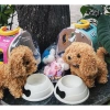 Đồ chơi chăm sóc thú cưng có pin – Lồng capybara, thỏ, mèo, chó bông biết đi, kêu, vẫy đuôi, phụ kiện – Giá ưu đãi 148.000₫ 9