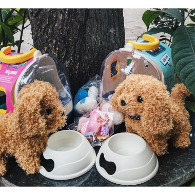 Đồ chơi chăm sóc thú cưng có pin – Lồng capybara, thỏ, mèo, chó bông biết đi, kêu, vẫy đuôi, phụ kiện – Giá ưu đãi 148.000₫ 9