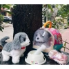 Đồ chơi chăm sóc thú cưng có pin – Lồng capybara, thỏ, mèo, chó bông biết đi, kêu, vẫy đuôi, phụ kiện – Giá ưu đãi 148.000₫ 10