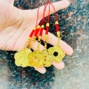 Đồng Xu Màu Cổ Hoa Mai 5 Cánh 3cm Kèm Dây Treo May Mắn - Rước Tài Lộc Giá 6.360đ 5