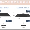 Dù gấp tự động chống mưa nắng in hình Shin‑Chan dễ thương cho nữ giá 165.699₫ 5