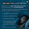 ExcelMind Viên uống giúp ngủ ngon, an thần, giảm mất ngủ từ Ashwagandha Ấn Độ 2