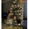 Flash Sale Đèn Nháy Bọt Bi 10m Đủ Màu - Trang Trí Cây Tết 2.023 Giá 70k 3