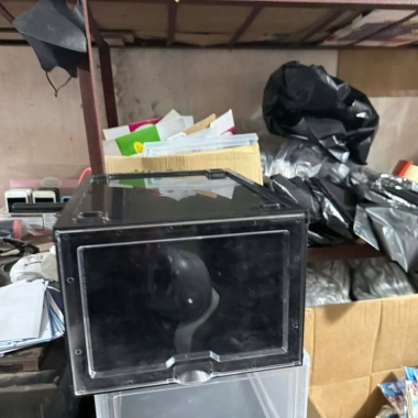 Freeship Hộp Đựng Giày Nhựa Cứng Gấp Gọn, Trong Suốt, Chống Bụi - Giá ưu đãi 68.000₫ 6 Freeship Hộp Đựng Giày Nhựa Cứng Gấp Gọn, Trong Suốt, Chống Bụi - Giá ưu đãi 68.000₫ 6
