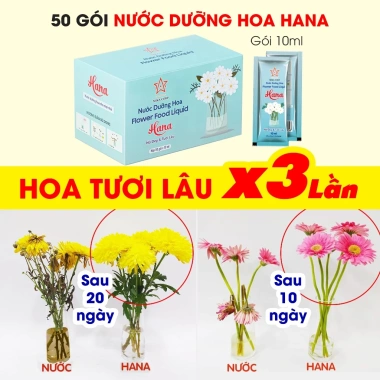 Freeship Nước Dưỡng Hoa Hana 50-100-200g Giữ Hoa Tươi Lâu Không Thối Nước 89.900 VND 2