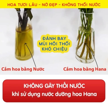 Freeship Nước Dưỡng Hoa Hana 50-100-200g Giữ Hoa Tươi Lâu Không Thối Nước 89.900 VND 4