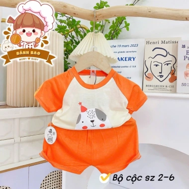 Freeship Voucher Cộc Tay Thun Lạnh Hoạt Hình Cute Siêu Thoáng Mát 6-17kg