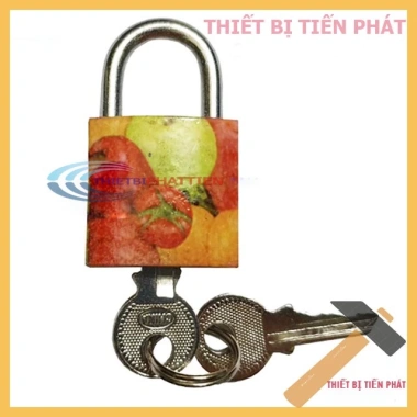 Freeshop 99k Toàn Quốc - Ổ Khóa Vali, Túi Xách, Tủ Đồ Mini Full Size 2P/2P5 Cao Cấp Chính Hãng Giá 26.000