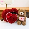 Gấu Bông Berry Bear Hình Trái Tim 25cm Khóa Mở Thư Ôm - Quà Tặng Ý Nghĩa 2.026 9